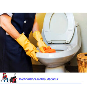 رفع گرفتگی کاسه توالت